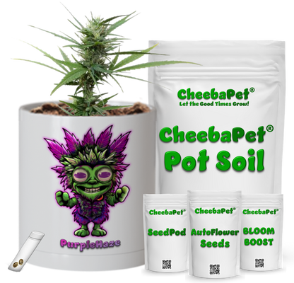 CheebaPet Planter Kit - PurpleHaze