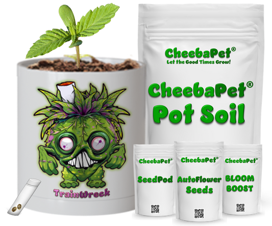CheebaPet Planter Kit - TrainWreck:   30% Off use code "Weekly30"