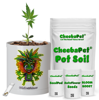 CheebaPet Planter Kit - WhiteWidow