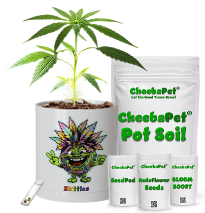 CheebaPet Planter Kit - Zkittlez