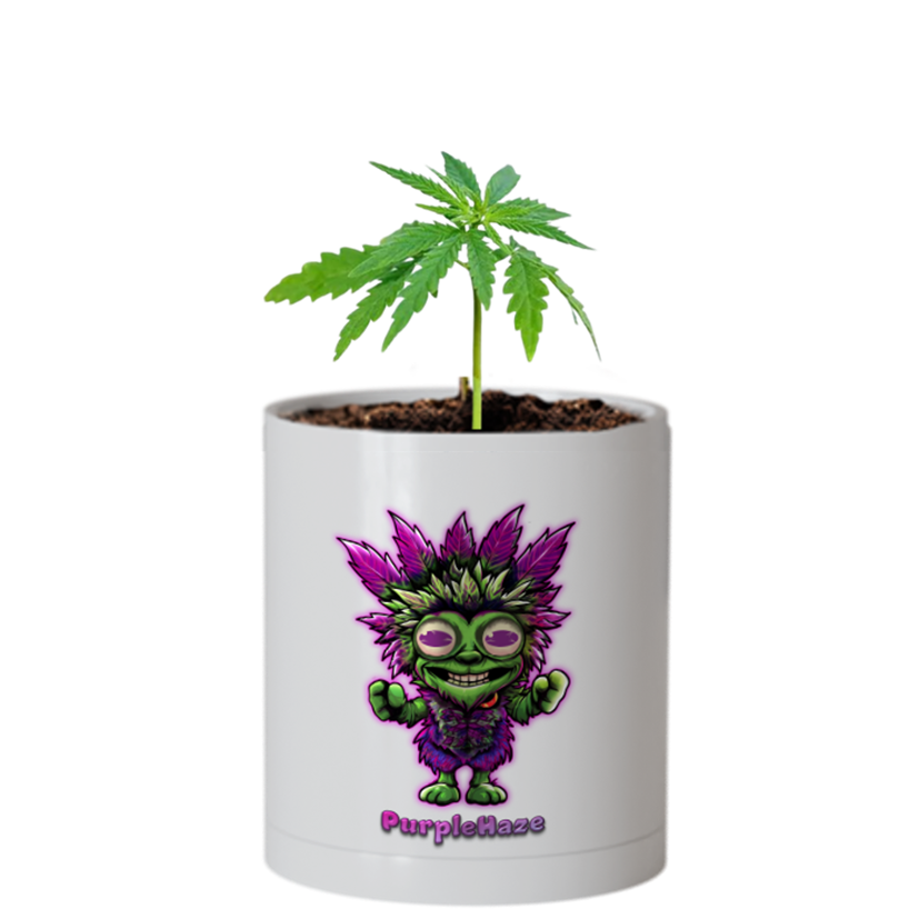 CheebaPet Planter Kit - PurpleHaze