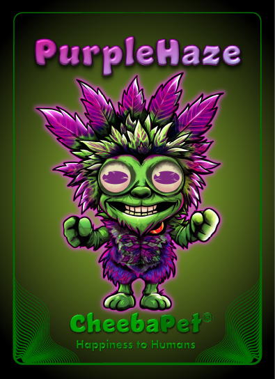 CheebaPet Planter Kit - PurpleHaze