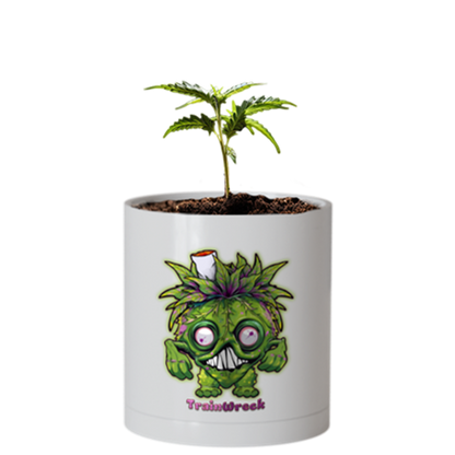 CheebaPet Planter Kit - TrainWreck:   30% Off use code "Weekly30"