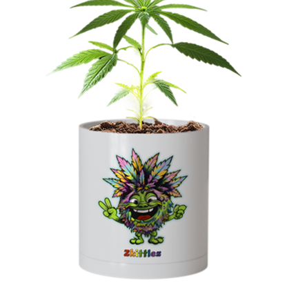 CheebaPet Planter Kit - Zkittlez